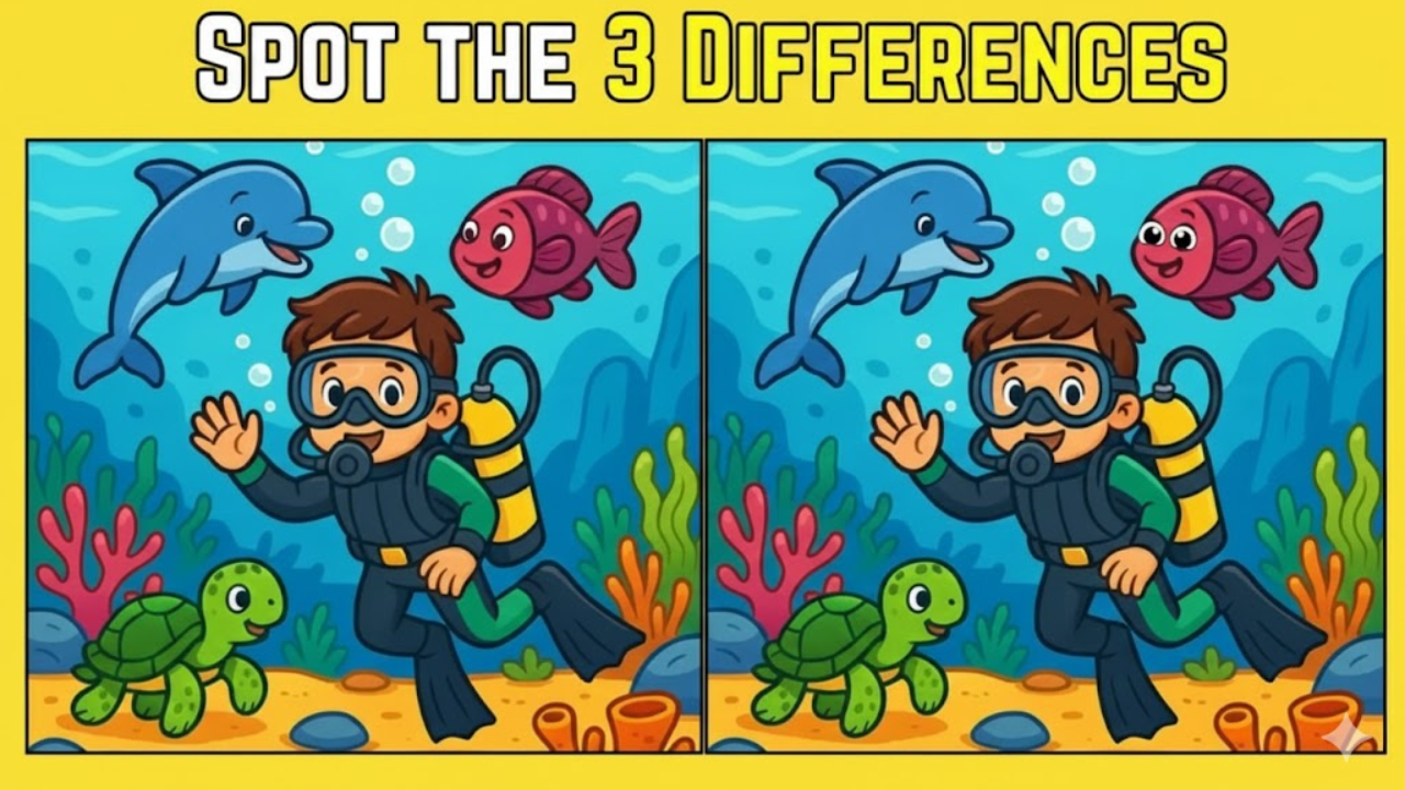 Spot the 3 Differences