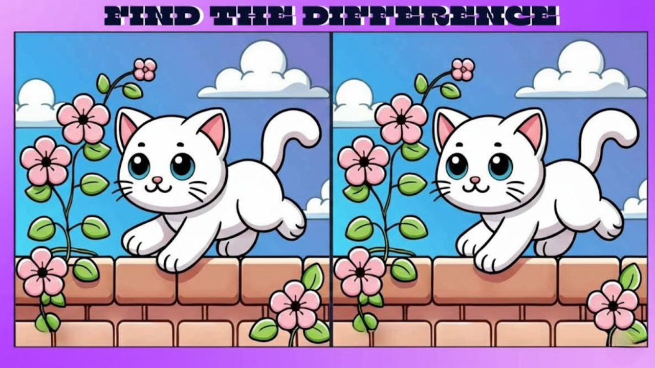 15-Second Challenge: Can You Spot the 3 Hidden Differences in These Adorable Cat Images