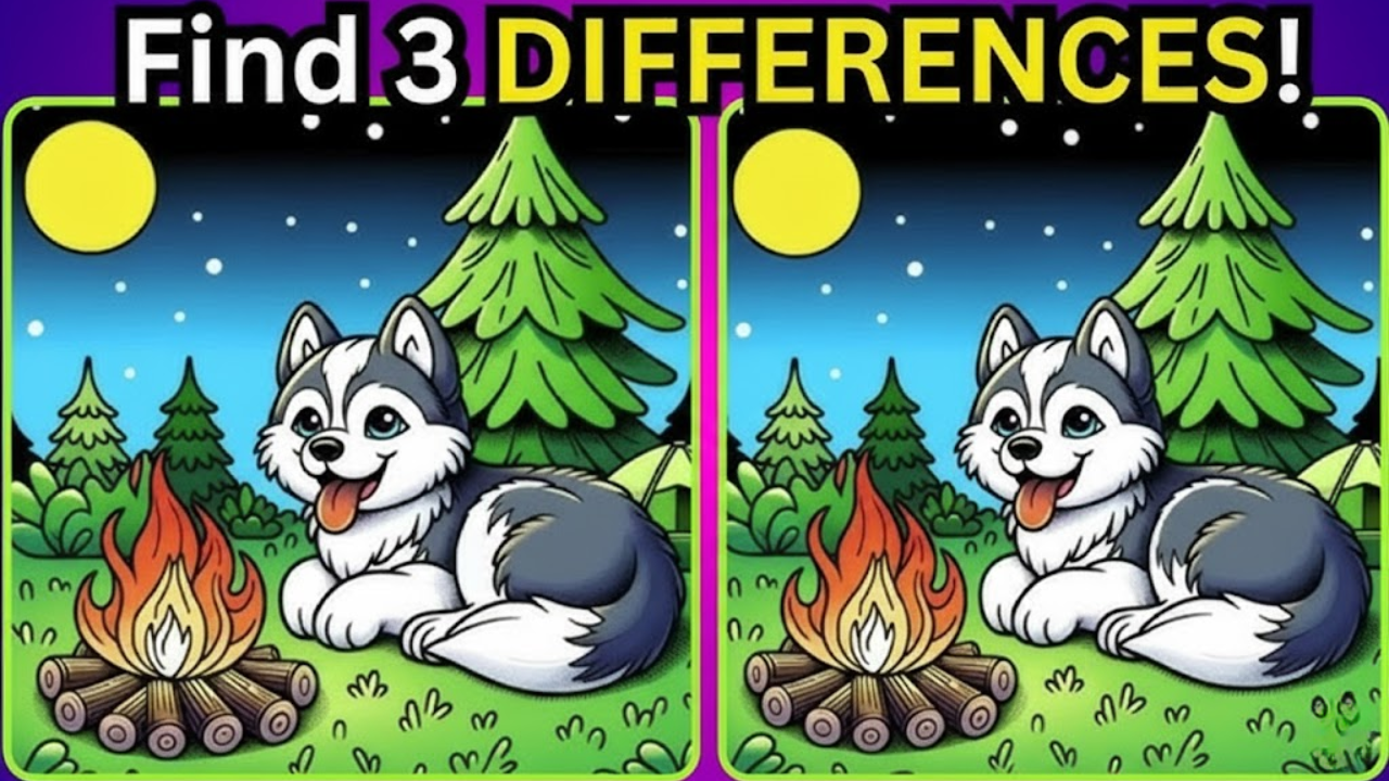 Find the Differences