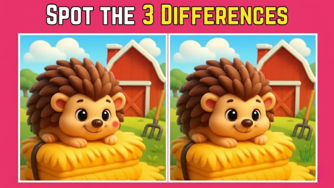Optical Illusion Challenge: Can You Find 3 Hidden Clues in the Hedgehog Images