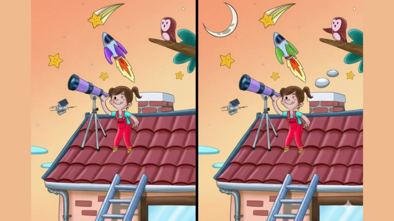 Spot 5 Differences in 20 Seconds
