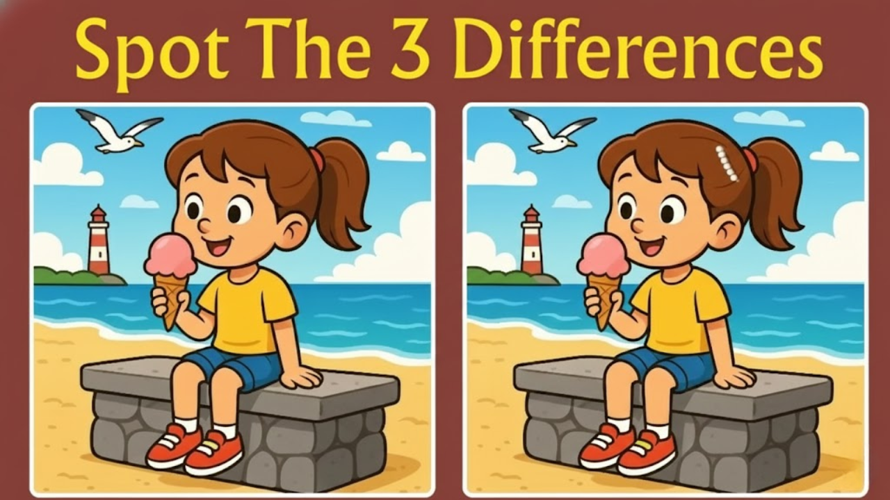 Spot the Difference Puzzle