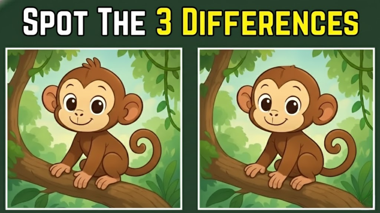 Spot the Difference Puzzle