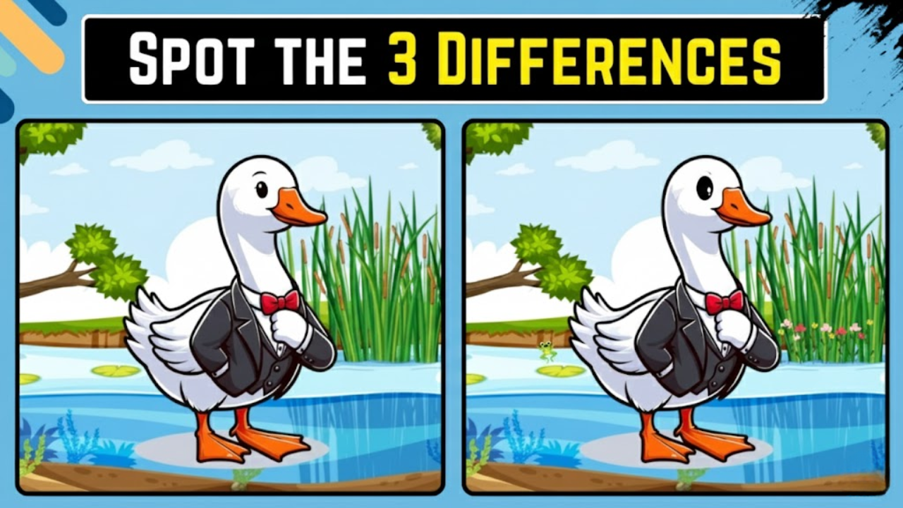 Spot the Difference Puzzle